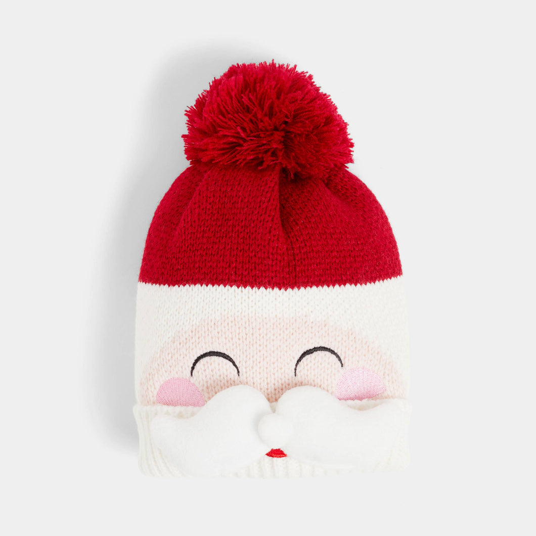 Christmas Novelty Hat: Santa / One Size