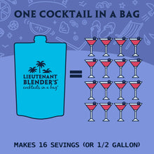 Load image into Gallery viewer, *Blueberry Pomegranate in a Bag® Cocktail / Mocktail Mixer
