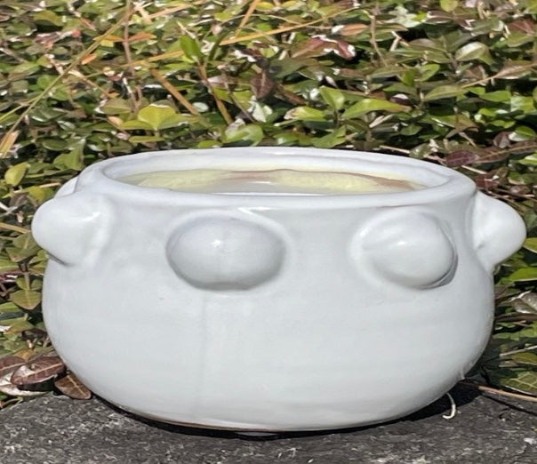 Citrus burst OTM Candle