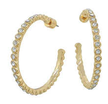 Load image into Gallery viewer, Pave Stone Hoops
