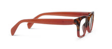 Load image into Gallery viewer, Cold Brew (Blue Light): Tortoise/Red / Reading / 1.25
